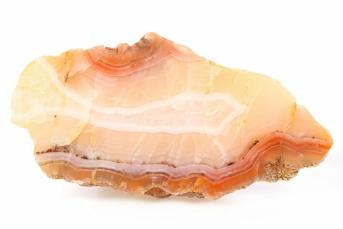 Polished Pilbara Agate Slab - Oldest Known Agate #279782